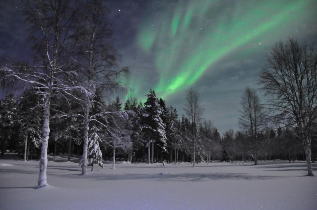 Cottage On Wild River In Lapland/Sweden Karlsten Dış mekan fotoğraf